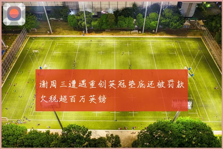 谢周三遭遇重创英冠垫底还被罚款欠税超百万英镑