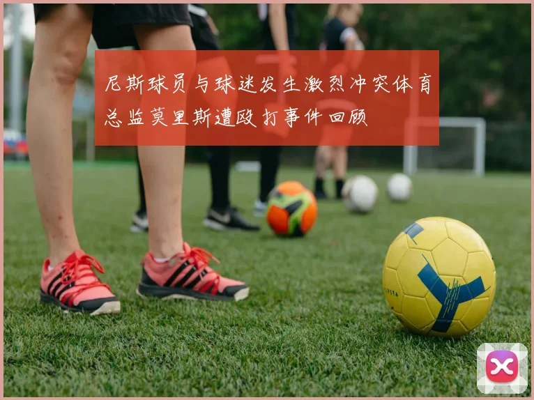 尼斯球员与球迷发生激烈冲突体育总监莫里斯遭殴打事件回顾