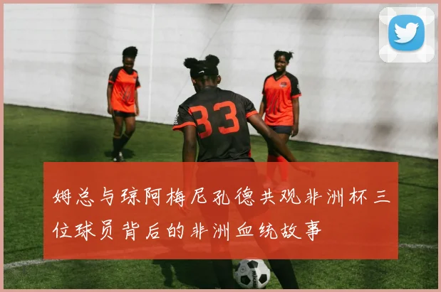 姆总与琼阿梅尼孔德共观非洲杯三位球员背后的非洲血统故事