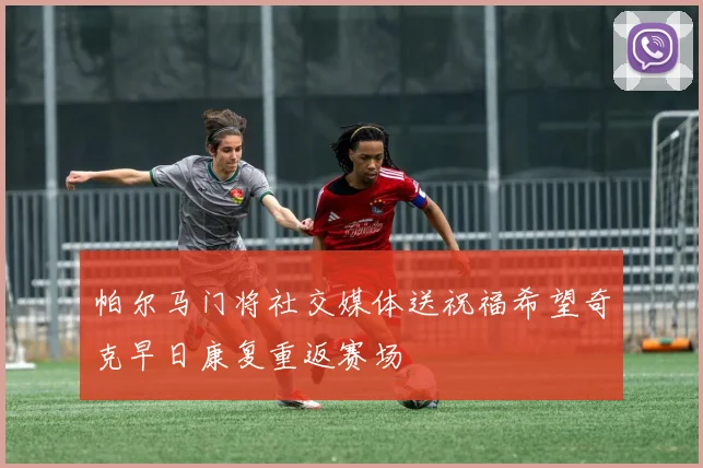 帕尔马门将社交媒体送祝福希望奇克早日康复重返赛场